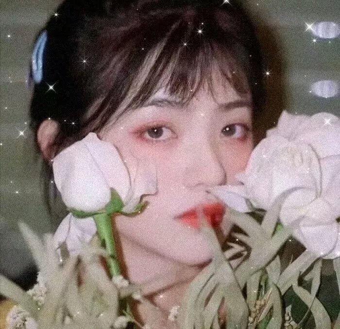 暗宅之谜